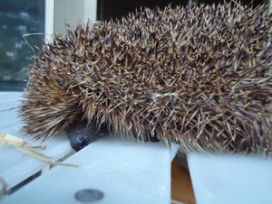 DSC02255 kleiner TF.jpg