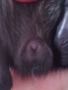 WP_001434 (Kopie) (Kopie).jpg