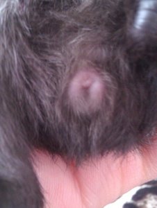 WP_001433 (Kopie).jpg