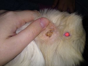 DSC01351 (640x480).jpg DSC01351 (640x480).jpg