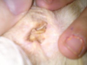 DSC01349 (640x480).jpg DSC01349 (640x480).jpg