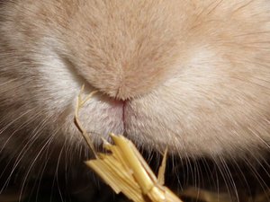 CIMG2855 - Kopie.JPG