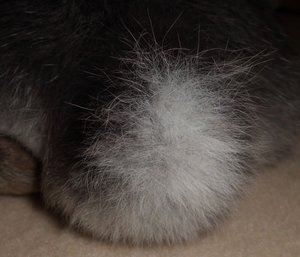 CIMG2879 - Kopie.JPG