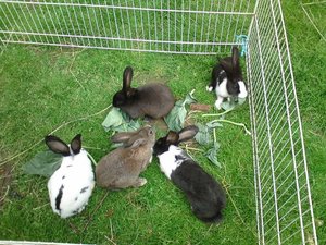 DSC01368 (640x480).jpg DSC01368 (640x480).jpg