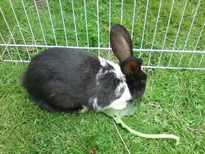 DSC01370 (640x480).jpg DSC01370 (640x480).jpg