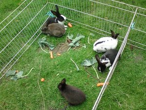 DSC01377 (640x480).jpg DSC01377 (640x480).jpg