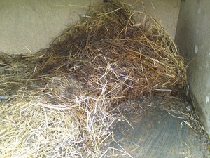 DSC01378 (640x480).jpg DSC01378 (640x480).jpg