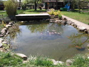 dscf0388.jpg dscf0388.jpg