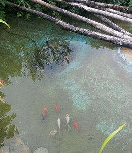 20120611_172315-1.jpg 20120611_172315-1.jpg