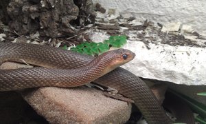 IMAG0138.jpg IMAG0138.jpg