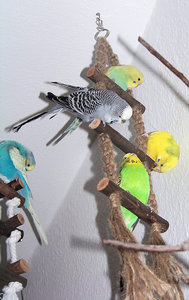 1004472j.jpg 1004472j.jpg