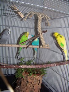 1004219.jpg 1004219.jpg