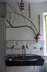 neuesheim.jpg neuesheim.jpg