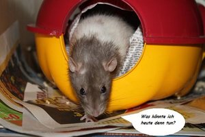 anfang.jpg anfang.jpg