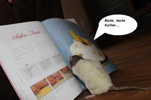 backen.jpg backen.jpg