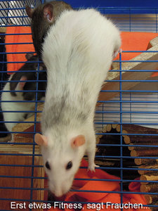 7386235928_ba02b47353_b.jpg 7386235928_ba02b47353_b.jpg