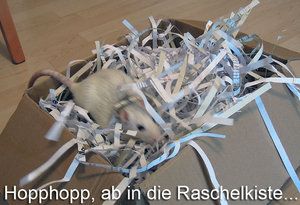 7386187608_0cc17edec8_b.jpg 7386187608_0cc17edec8_b.jpg