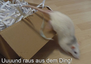 7386187950_79f3f1fb7d_b.jpg 7386187950_79f3f1fb7d_b.jpg