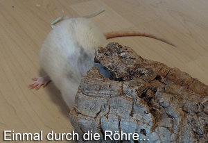 7386188126_756fa1f47e_b.jpg 7386188126_756fa1f47e_b.jpg