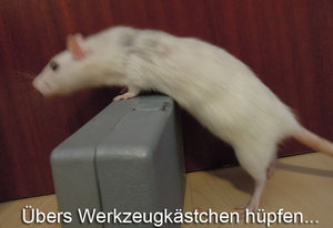 7386188256_d879a10e5a_b.jpg 7386188256_d879a10e5a_b.jpg