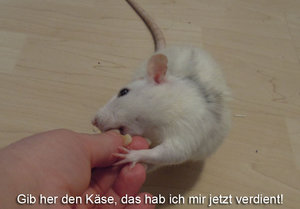 7386188362_a4f39bd8e0_b.jpg 7386188362_a4f39bd8e0_b.jpg