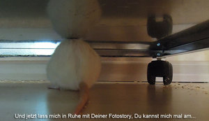 7386188518_c7b5164129_b.jpg 7386188518_c7b5164129_b.jpg