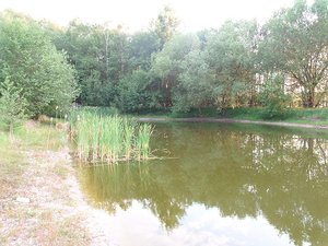 Teich 002.JPG Teich 002.JPG