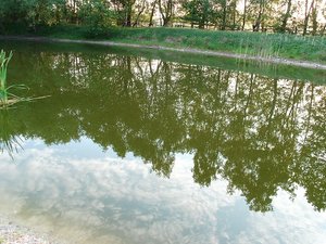 Teich 004.JPG Teich 004.JPG