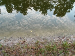 Teich 005.JPG Teich 005.JPG