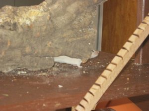 Endlich fertig! 091.JPG