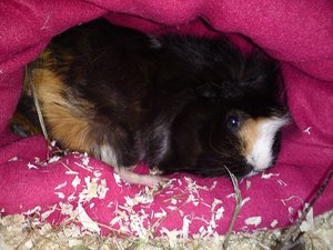 DSC01261 (640x480).jpg