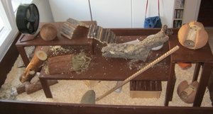 Endlich fertig! 143.JPG