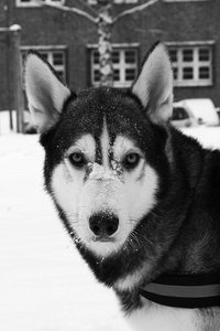 aIMG_3381 - Kopie.jpg