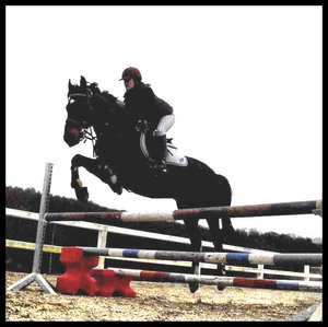 bearbeitetd.jpg bearbeitetd.jpg