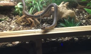 IMAG0152.jpg IMAG0152.jpg