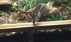 IMAG0153.jpg IMAG0153.jpg