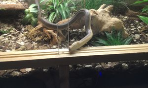 IMAG0154.jpg IMAG0154.jpg