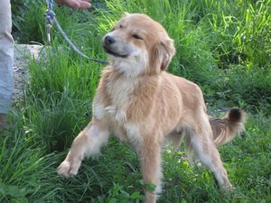 j505106.pic.jpg j505106.pic.jpg