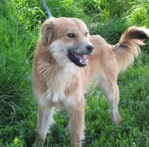 j505106-1.pic.jpg j505106-1.pic.jpg