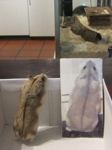 Quatsch mit Sosse 071.JPG