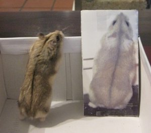 Quatsch mit Sosse 071.JPG