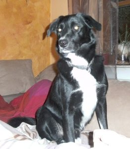 PICT0002new.jpg PICT0002new.jpg