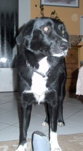 PICT0025neu.jpg PICT0025neu.jpg