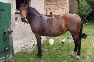 Salima.jpg Salima.jpg