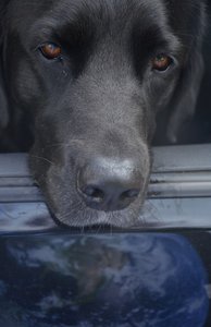 dsc_0740ngkcy.jpg dsc_0740ngkcy.jpg