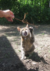 3336323835613033.jpg 3336323835613033.jpg