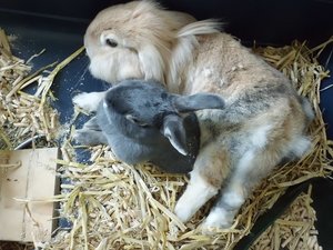 CIMG2882 - Kopie.JPG