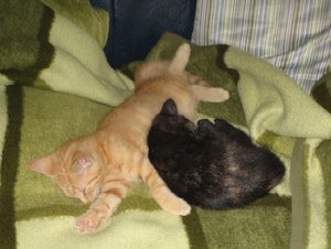 APeppy und Phoebe 016.jpg