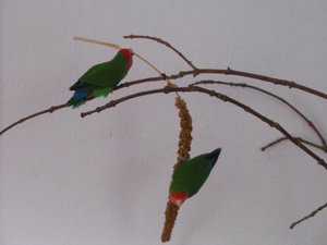 Knabberstunde fÃ¼r alle.jpg