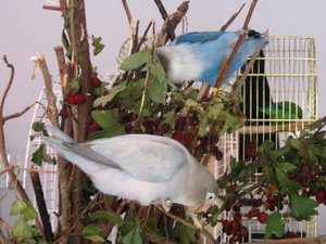 Mhhh was frisches.jpg